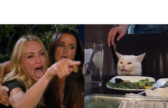 Grumpy Cat