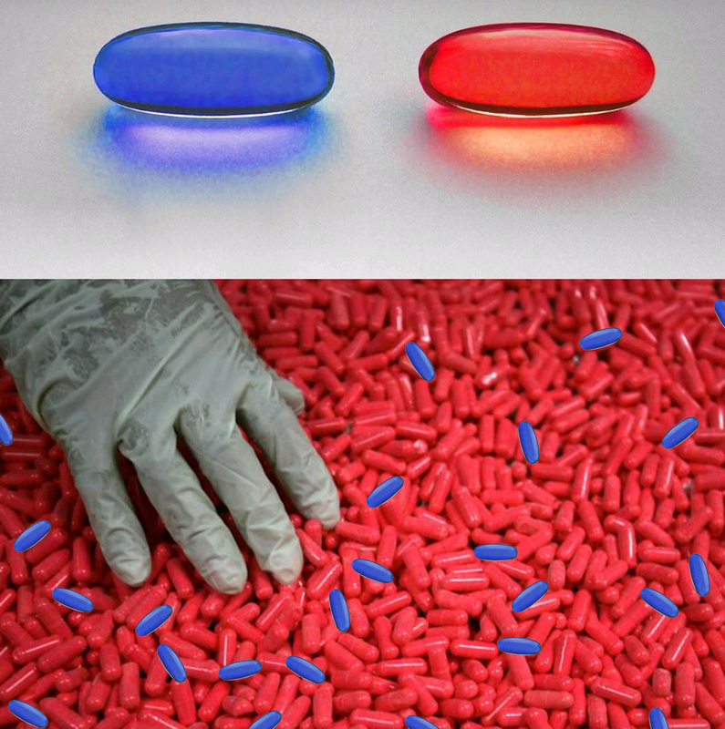 Blue Red Pill Matrix