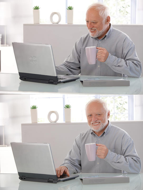 Hide The Pain Harold 3